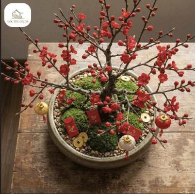 Cây mai đỏ bonsai trang trí Tết đặt trong chậu tròn, phủ rêu xanh và phụ kiện may mắn